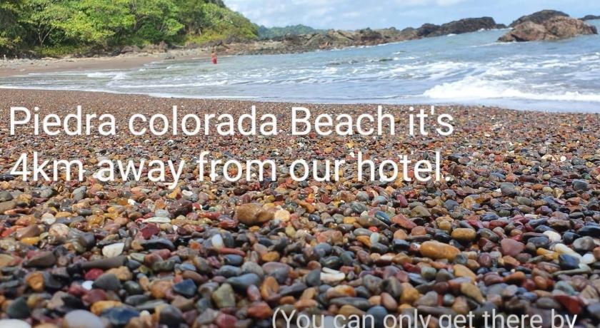Hotel Ticozuma photo