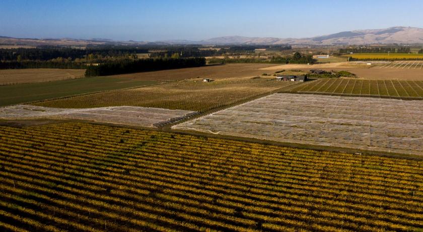 Romantic Vineyard getaway photo