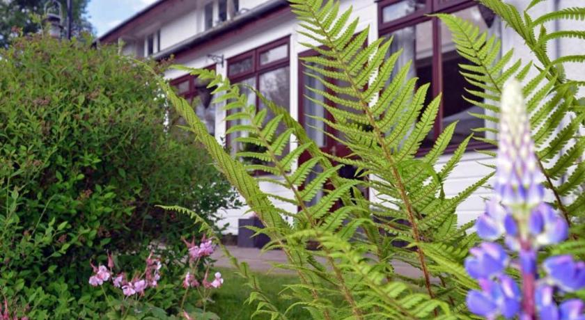Ardlogie Guest House — Hotel in Aviemore