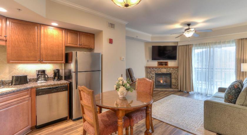 Image of One Bedroom Condo with Riverview 1