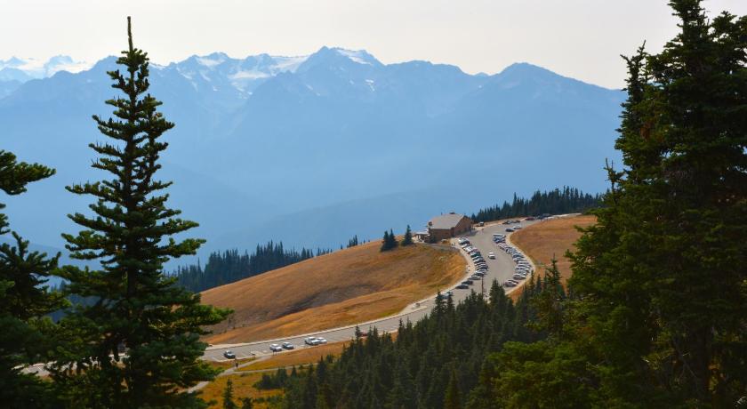 Super 8 by Wyndham Port Angeles at Olympic National Park