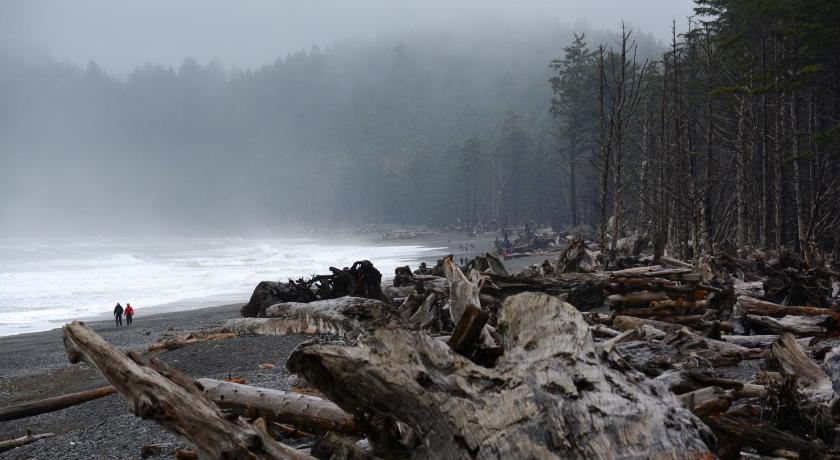 Super 8 by Wyndham Port Angeles at Olympic National Park