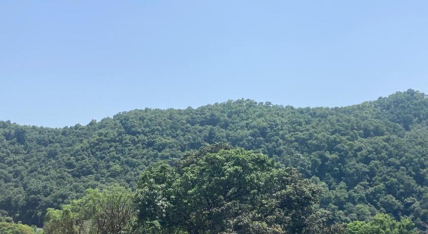 Image of Standard triple 6