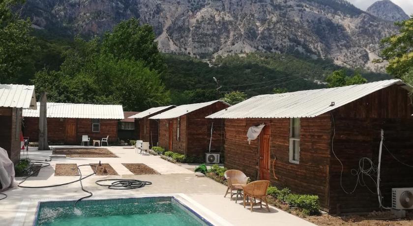 Lime tree houses photo