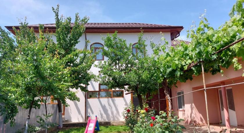 Olteanu