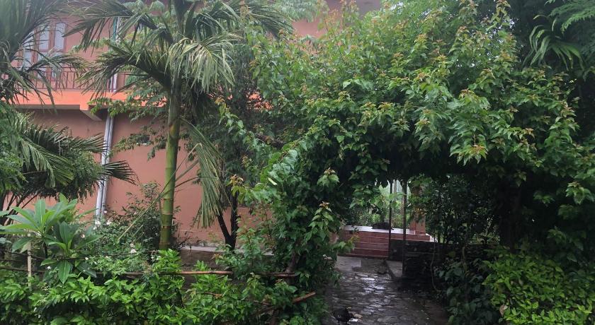 Tara guesthouse - Sauraha,Chitwan — Chitwan (6)