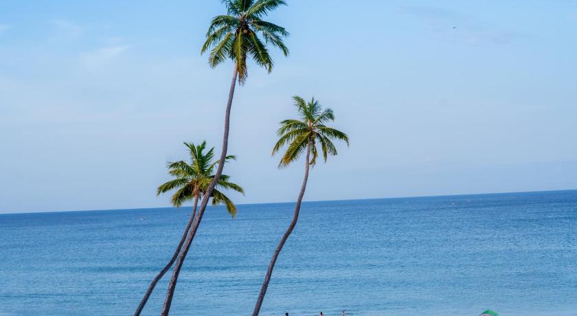 Liyonaa Beach Hotel - image 22
