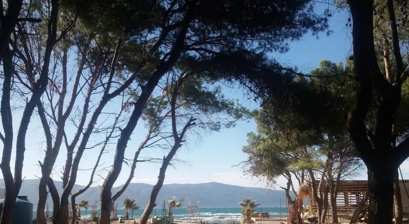 Pinegroove Hostel Vlora photo