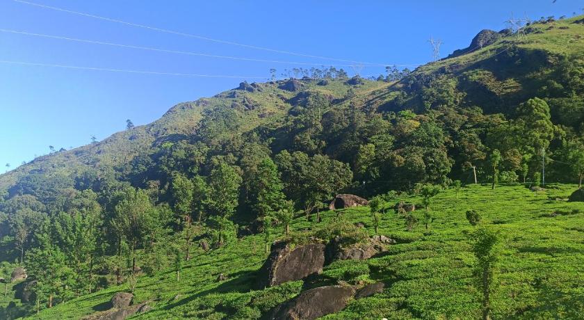 Tea Dale - All rooms with Tea Estate view photo