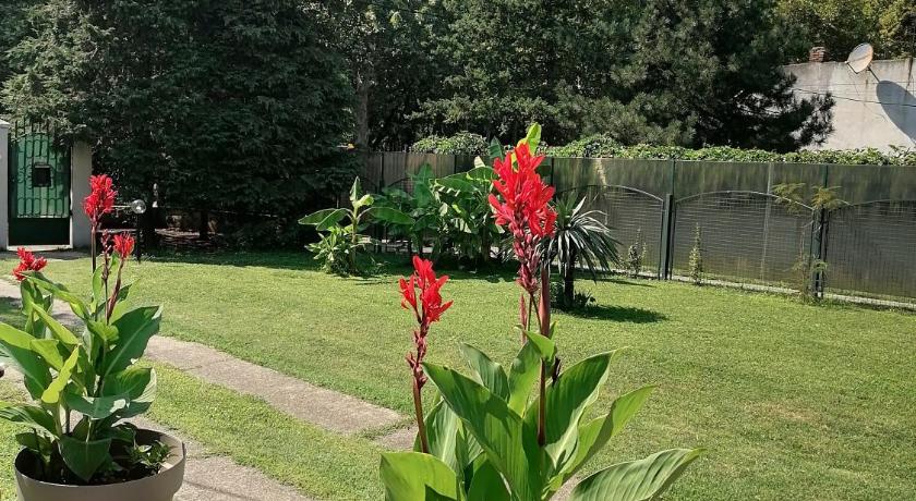 Apartman Garden House photo