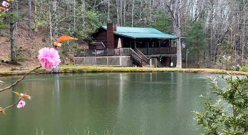 Mountain Getaway with Pond, Grill, and 2 Fire Pits! photo