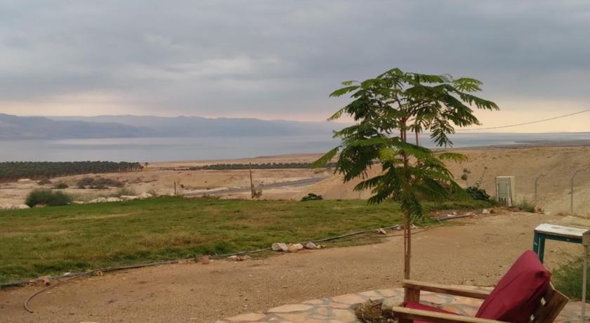 Dead sea families unit photo