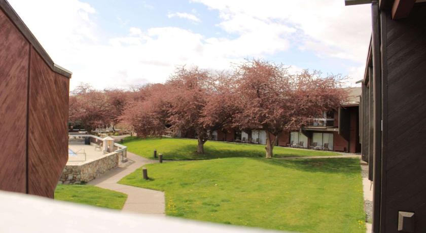 Best Western Sunridge Inn & Conference Center photo