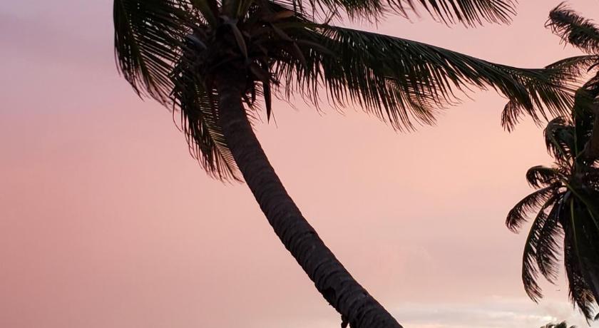Ocean Tide Beach Resort photo