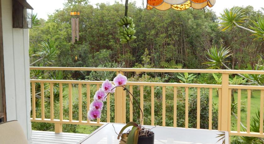 Fern Forest Getaway photo
