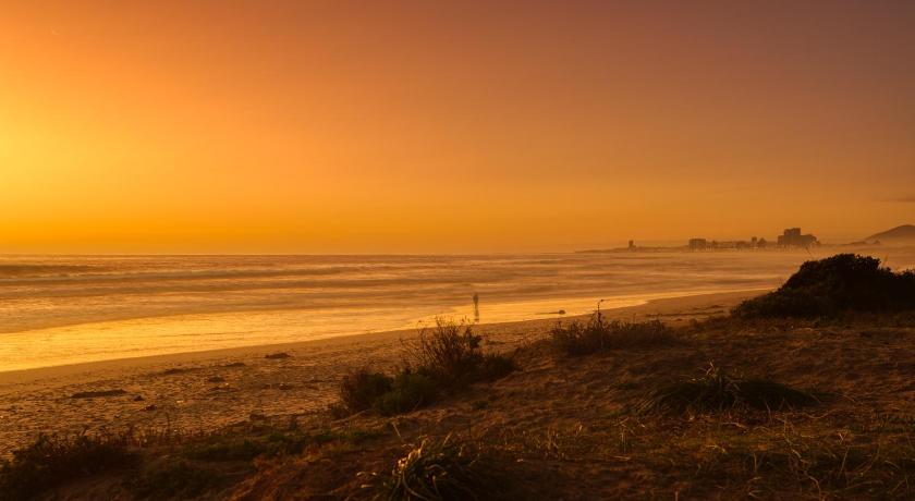 SOUL Atlantic Palms photo