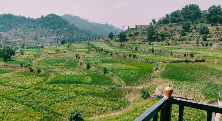 Odyssey Stays Majkhali, Ranikhet photo