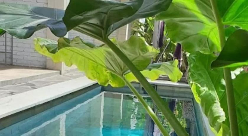Surya Lombok Accommodation photo
