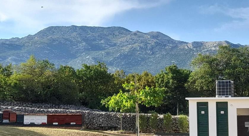 Camping Dolovi photo