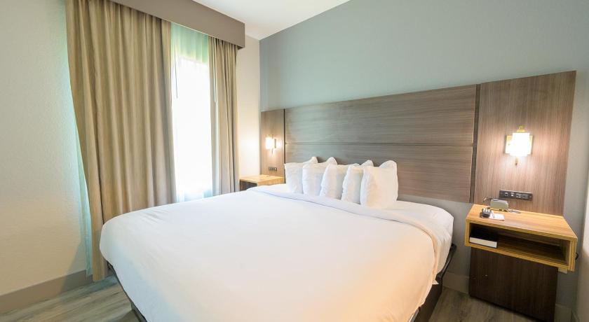 Image of 1 King Bed, Studio Suite, Non-Smoking 1
