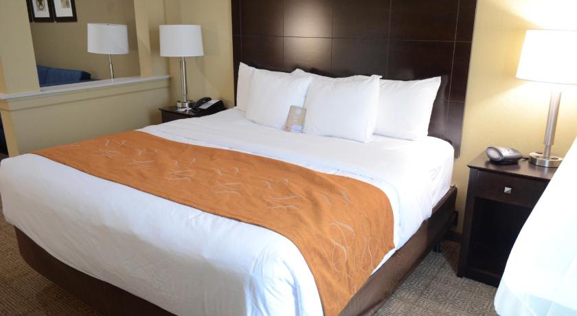 Image of 1 King Bed, Suite, Nonsmoking, Accessible 8