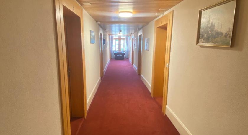 Hasli Lodge photo