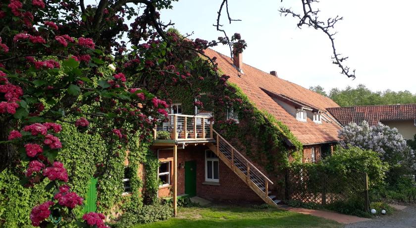 Schwalbennest