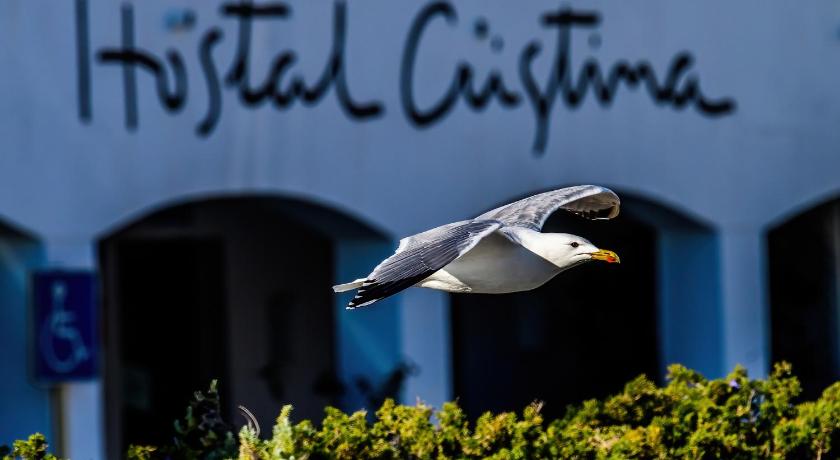 Hostal Cristina photo