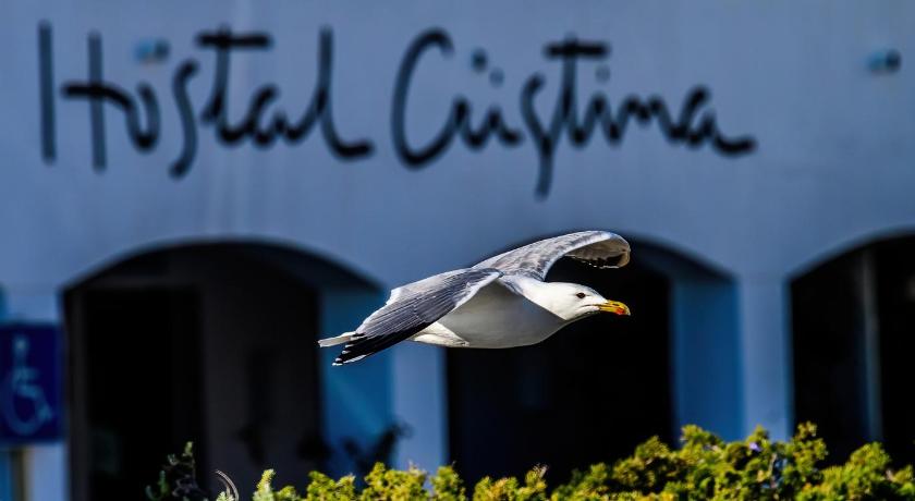 Hostal Cristina photo
