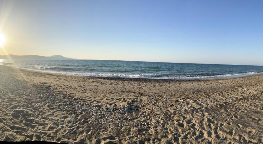 Olive Tree Farm 200m from the beach photo