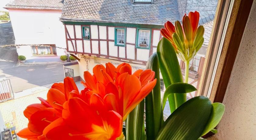 Hotel Pension Balthasar photo