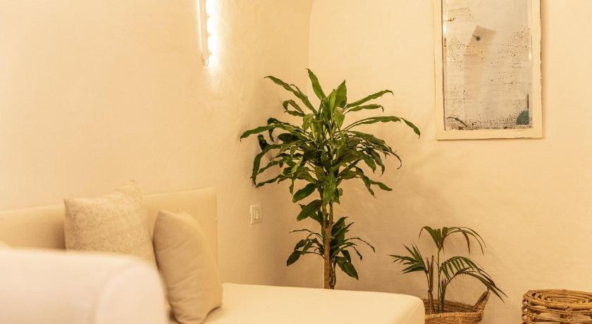 a plant is growing in a small room, B&B Centro Storico in Otranto