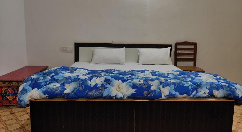 Buddha guest House nubra photo