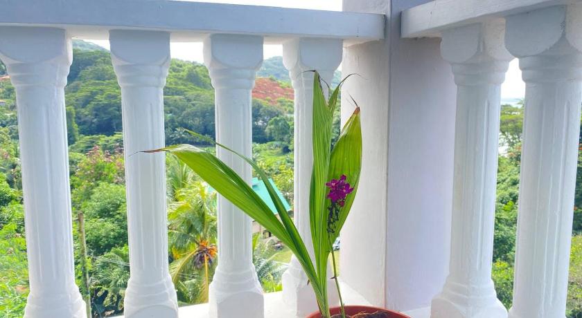 Le Ronce Villa photo