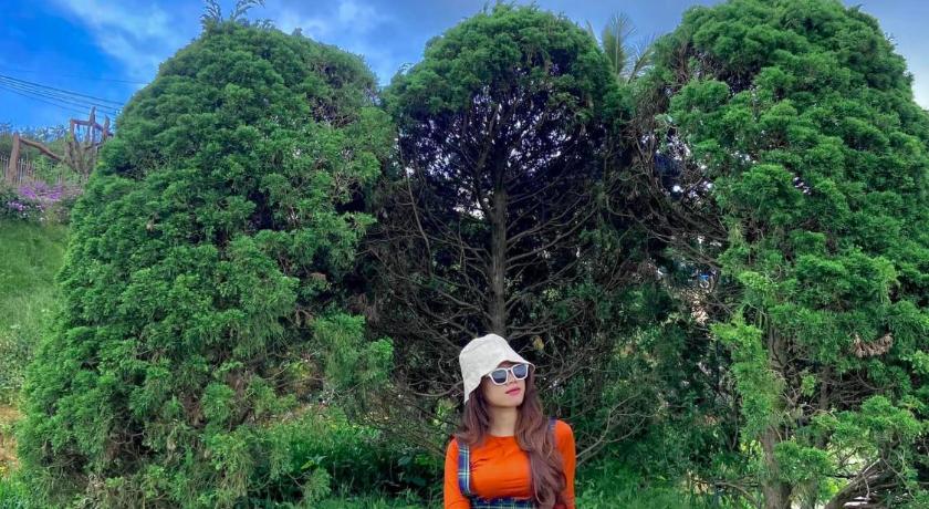 Đa Lat Sunshine Garden photo