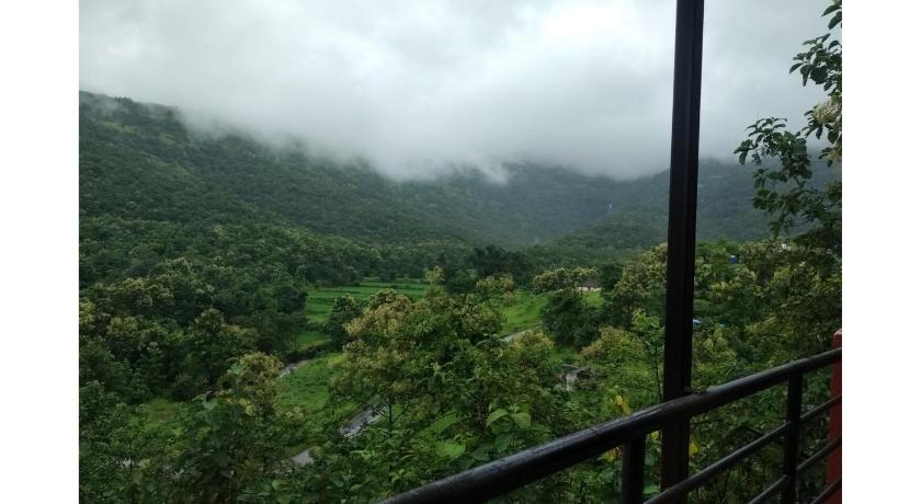 teak trail photo
