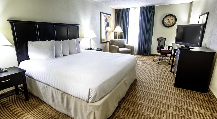 Hotel Capstone photo