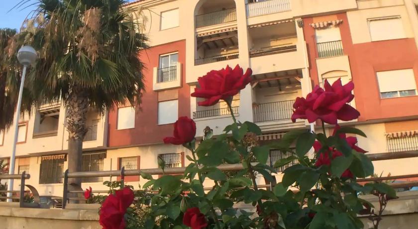 Calatorao Apartamento Playa Calahonda El Farillo con terraza 3-Star Single Room room