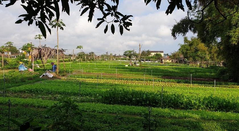 Hoi An Osaka Riverside Villa & Spa photo