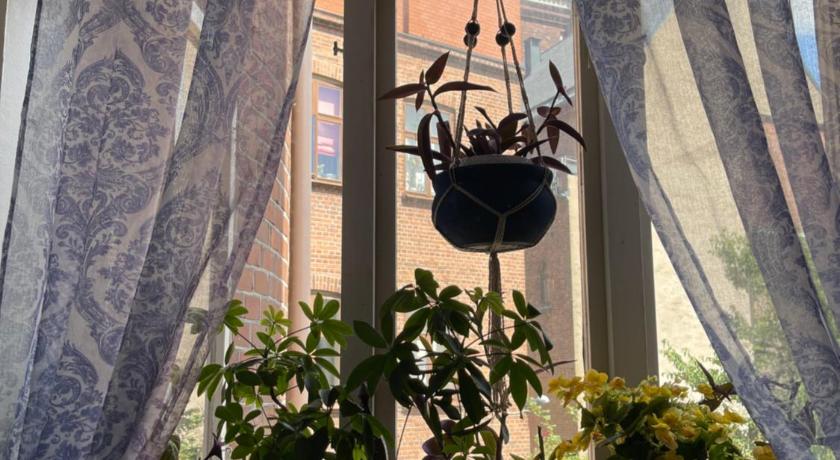 Nice Apartment photo