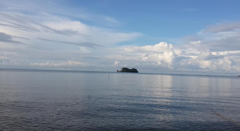 Image of single 14