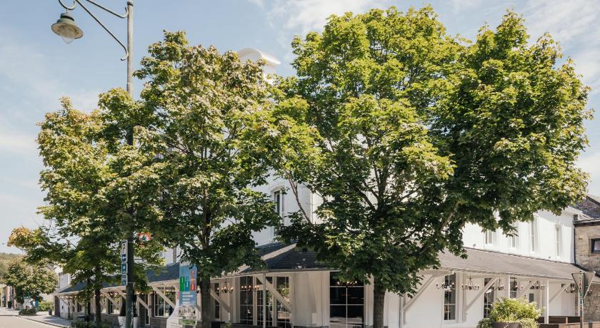Hotel Au lit des ours — Hotel in Han-sur-Lesse