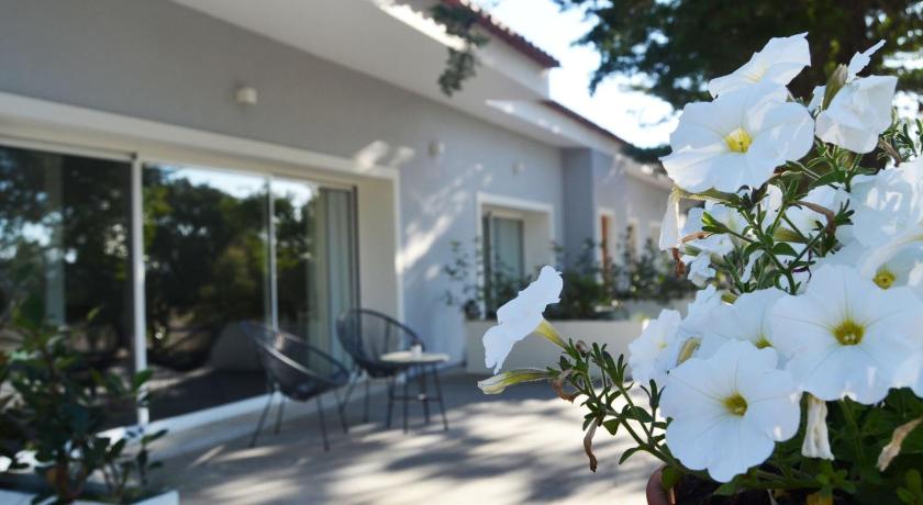 阿尔卡因斯 Hotel Campo do Rosmaninho 4星级 酒店 泳池