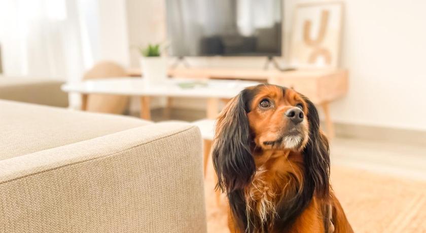 Cehegín A Lobeira Grande by ALOGA 3-Star Single Room pool