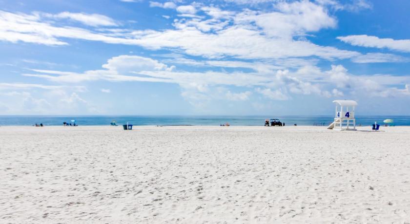 Beachview 321 photo