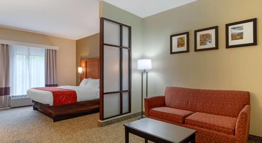 Image of 1 King Bed, Suite, Nonsmoking, Accessible 1