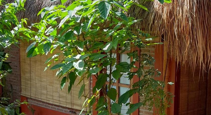 Balicabana Bungalows photo