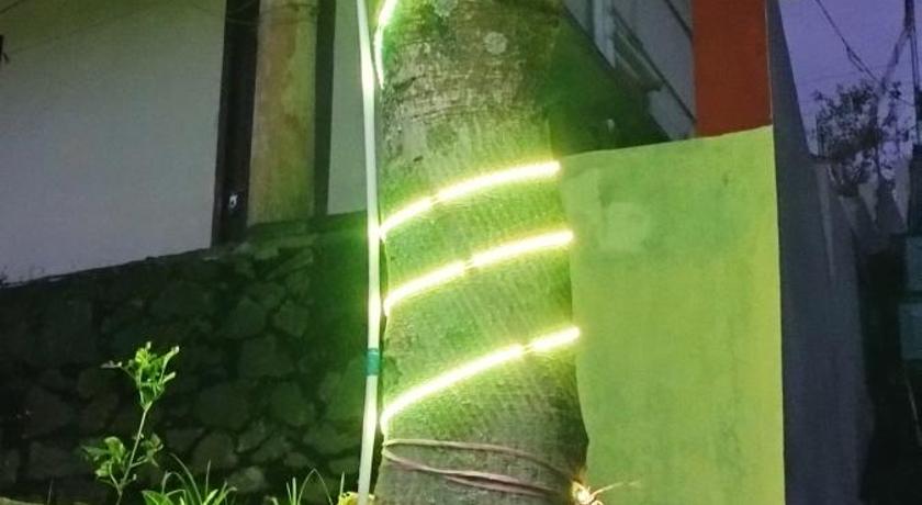 a tree in the middle of a street, Sharia Rooms in Kodaikanal