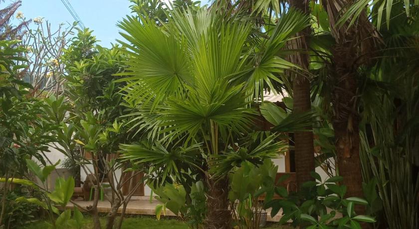 Shanum Homestay Pulau merah photo