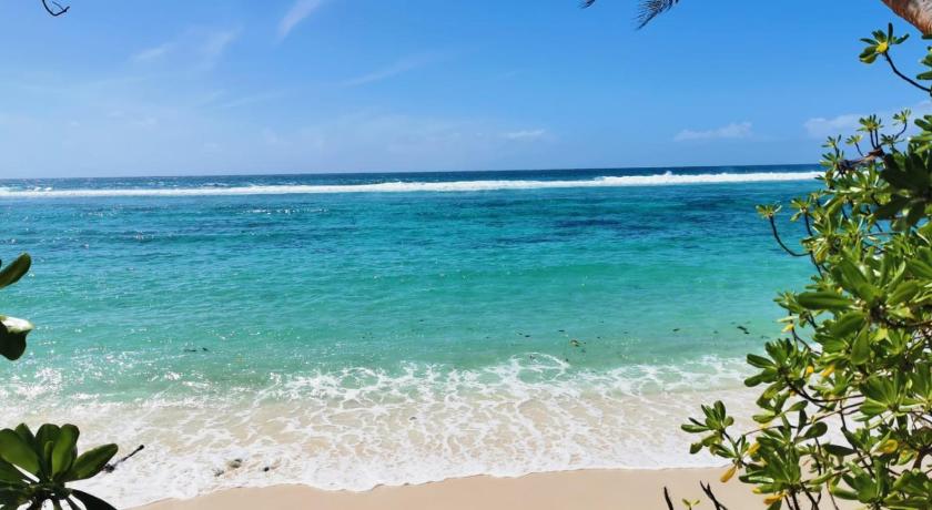 Chalets D'Anse Forbans photo